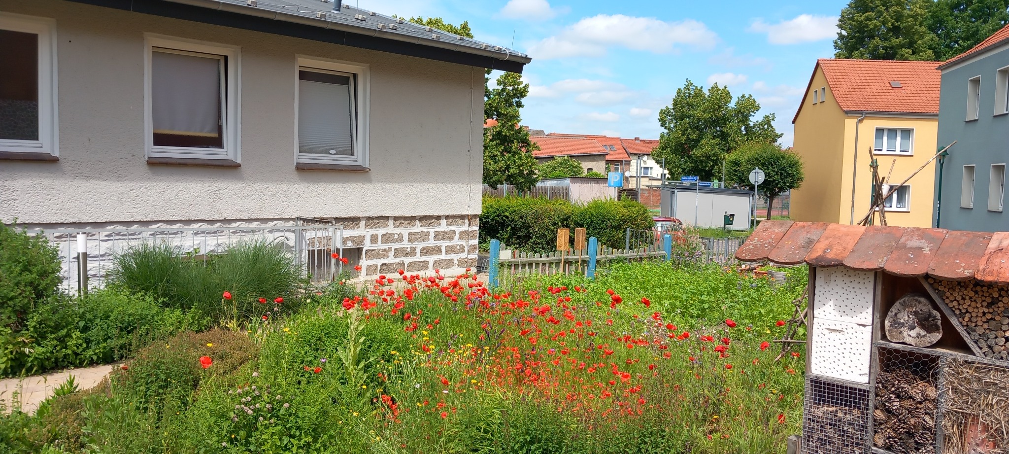 Insektenhotel und Blumenbeet im Schulgarten